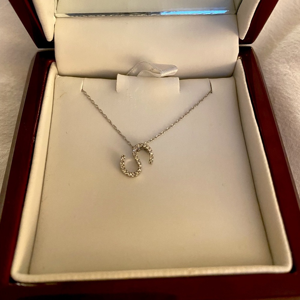 Sterling Silver S Charm necklace